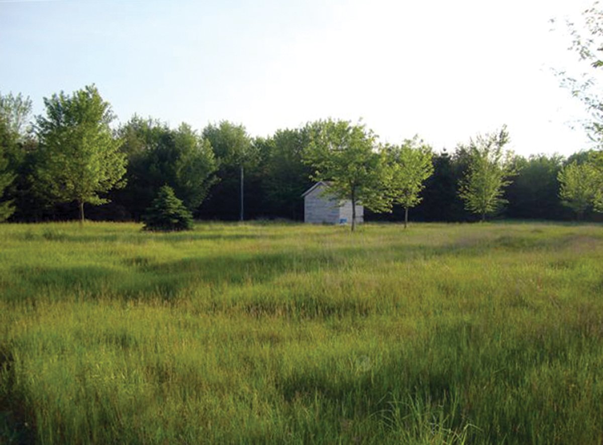 Property photo 3 - 10 Acre Building Site Real Estate Auction